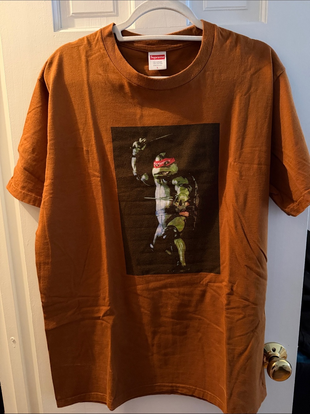 Supreme Rust Brown Tee with Ninja Turtle Graphic